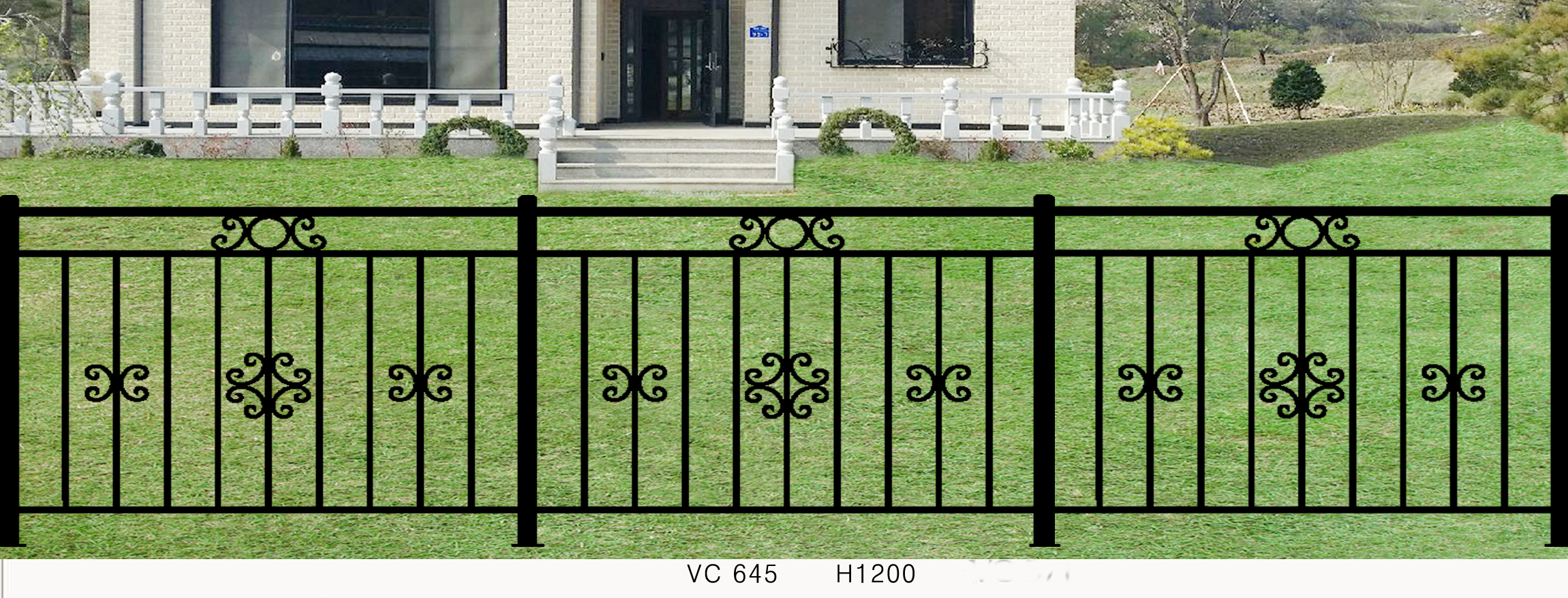 vc 645.jpg